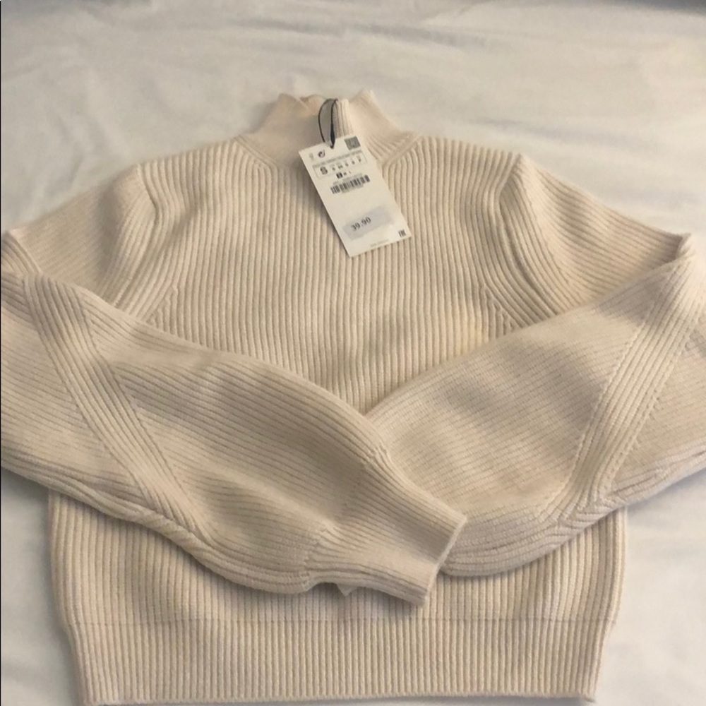 ZARA Knit Balloon Sleeve Sweater